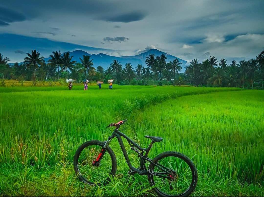 Peraja Bungalows Loyok Sangyang Bagian luar foto